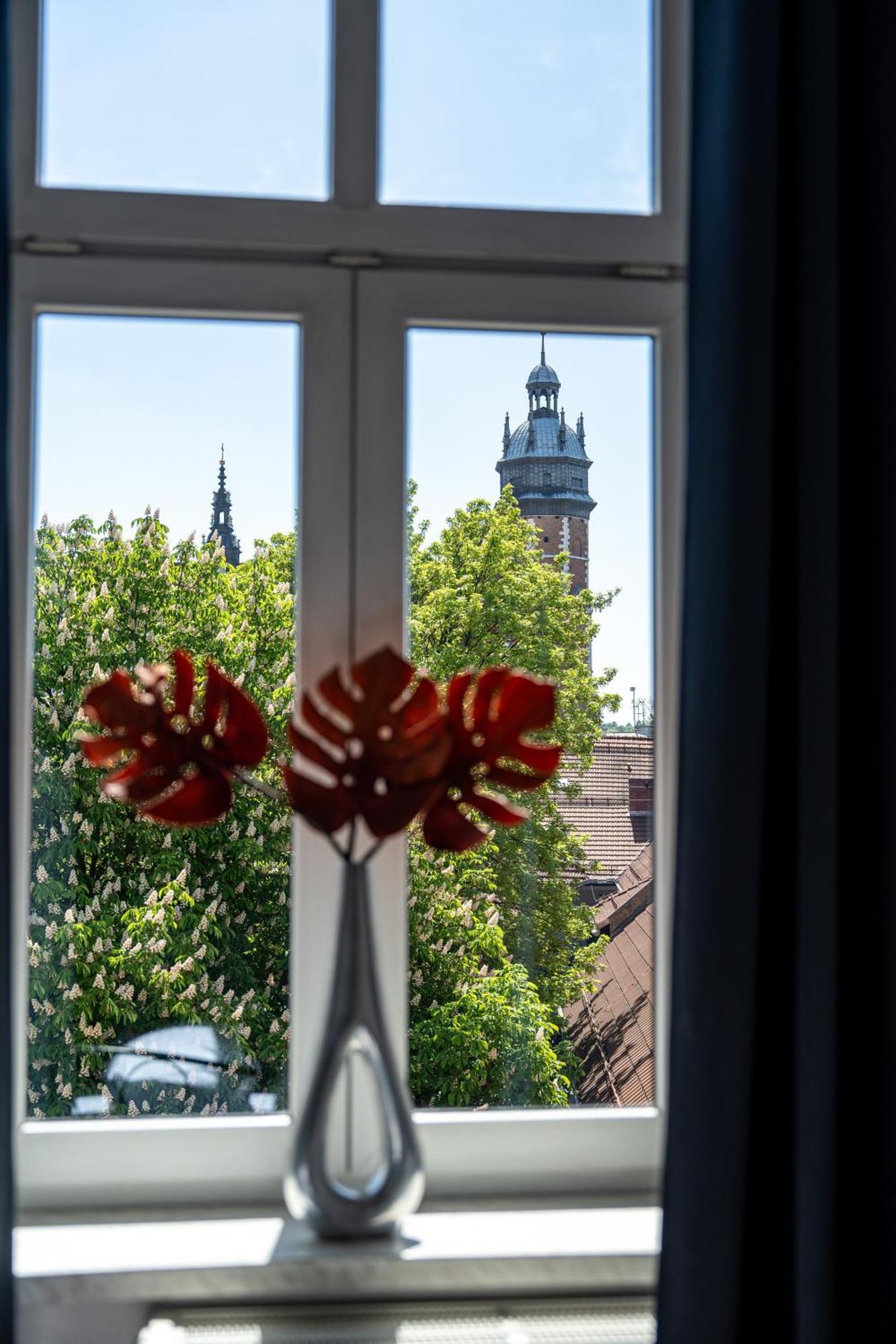 Apartament Vista View *